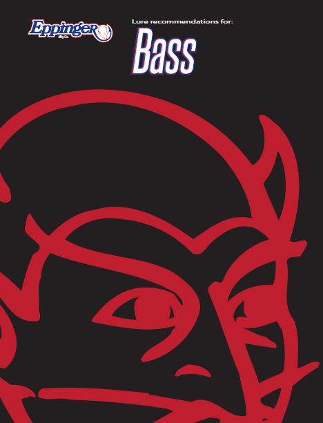 Bass Recommendations Banner