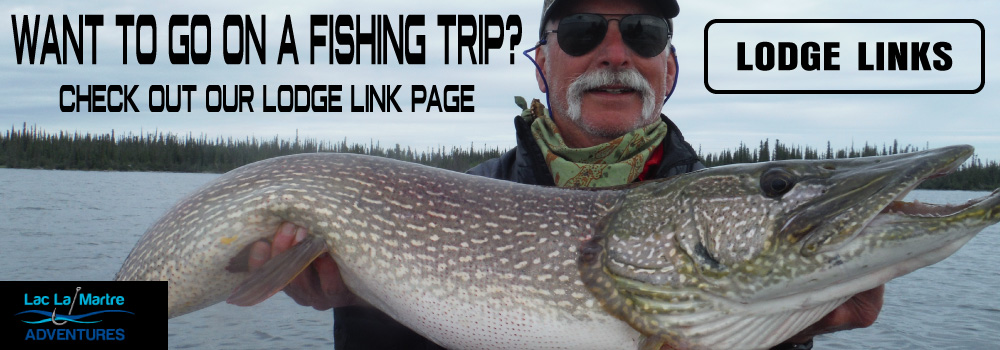 Want to go on a fishing trip? Check out our lodge link page